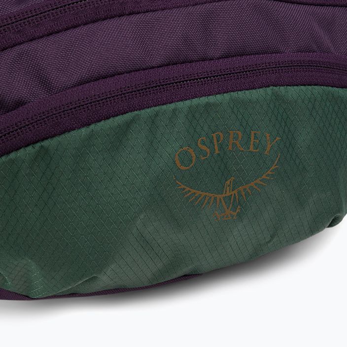 Saszetka nerka Osprey Daylite Waist axo green/enchantment purple 6