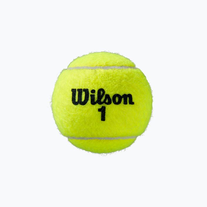 Piłki tenisowe Wilson Roland Garros Clay Ct 4 szt. yellow 3