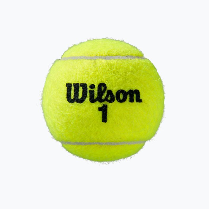 Piłki tenisowe Wilson Roland Garros All Ct 8 szt. 4