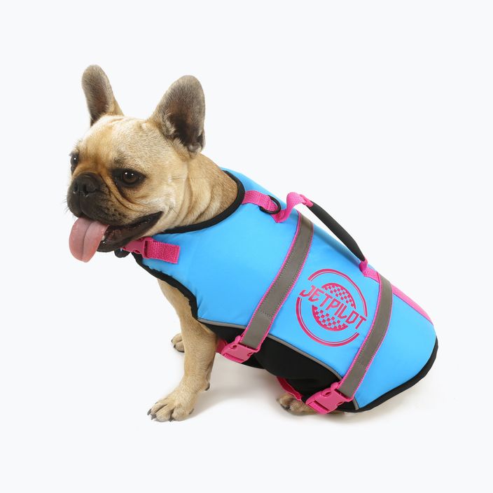 Kamizelka asekuracyjna dla psa Jetpilot Dog Vest blue