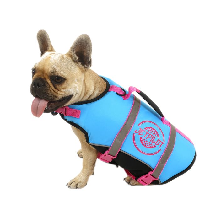 Kamizelka asekuracyjna dla psa Jetpilot Dog Vest blue 2