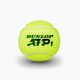 Piłki tenisowe Dunlop ATP 4 szt. żółte 601314 3