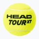 Piłki tenisowe HEAD Tour Xt 4 szt. 2