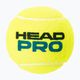 Piłki tenisowe HEAD Pro 4 szt. 2