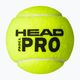 Piłki do padla HEAD 3B HEAD Pro 3 szt. 2