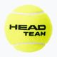 Piłki tenisowe HEAD Team 4 szt. yellow 2