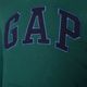 Bluza męska GAP V-Heritage Logo PO SNL june bug 2 5