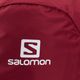 Plecak turystyczny Salomon Trailblazer 30 l red chili/red dahlia/dahlia/ebony 4