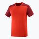 Koszulka trekkingowa męska Salomon Essential Colorbloc fiery red/cabernet