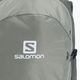 Plecak turystyczny Salomon Trailblazer 30 l wrought iron/sedona sage 4