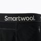 Spodnie termoaktywne męskie Smartwool Merino 250 Baselayer Bottom Boxed black 7