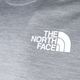 Koszulka trekkingowa męska The North Face MA light grey hthr/black 9
