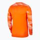 Bluza piłkarska męska Nike Dri-Fit Dri-Fit Park IV Goalkeeper safety orange/white/black 2