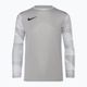 Koszulka bramkarska dziecięca Nike Dri-FIT Park IV Goalkeeper pewter grey/white/black
