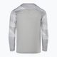 Koszulka bramkarska dziecięca Nike Dri-FIT Park IV Goalkeeper pewter grey/white/black 2