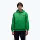 Bluza męska Napapijri B-Linth Hooded green kelly