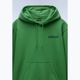 Bluza męska Napapijri B-Linth Hooded green kelly 7