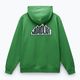 Bluza męska Napapijri B-Linth Hooded green kelly 6