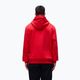 Bluza męska Napapijri Burgee Half Zip Hooded 2.0 red goji 3