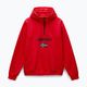 Bluza męska Napapijri Burgee Half Zip Hooded 2.0 red goji 5