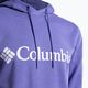 Bluza męska Columbia CSC Basic Logo II Hoodie purple lotus/csc branded logo 8