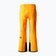 Spodnie narciarskie męskie The North Face Chakal cone orange 6