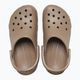 Klapki Crocs Classic latte 5