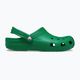 Klapki Crocs Classic green ivy 2