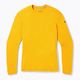 Longsleeve termoaktywny męski Smartwool Merino 250 Baselayer Crew Boxed honey gold 6