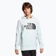 Bluza męska The North Face Tekno Logo Hoodie icecap blue