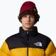 Czapka zimowa The North Face Dock Worker Recycled beetroot 3