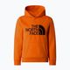 Bluza dziecięca The North Face Drew Peak P/O Hoodie orange 4