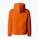 Bluza dziecięca The North Face Drew Peak P/O Hoodie orange 5