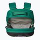 Plecak turystyczny The North Face Borealis 28 l evergreen/black 4