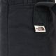 Torba The North Face Berkeley Crossbody black/miner 5