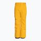 Spodnie snowboardowe dziecięce Quiksilver Estate Youth mineral yellow 5