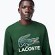 Bluza męska Lacoste SH1281 green 4