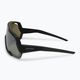 Okulary przeciwsłoneczne Alpina Rocket Q-Lite black matt/silver mirror 4