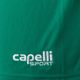 Spodenki piłkarskie męskie Capelli Sport Cs One Adult Match green/white 3