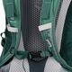 Plecak turystyczny damski deuter Futura Pro 34 l SL forest/seagreen 5