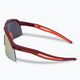 Okulary przeciwsłoneczne DYNAFIT Ultra Evo burgundy/hot coral 4