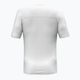 Koszulka męska Salewa Puez Sporty Dry white 2