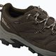 Buty trekkingowe Jack Wolfskin Vojo Tour Texapore Low cold coffee 5