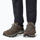 Buty trekkingowe Jack Wolfskin Vojo Tour Texapore Low cold coffee 6