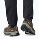 Buty trekkingowe Jack Wolfskin Vojo Tour Texapore Low cold coffee 7