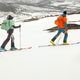 Spodnie skiturowe męskie Jack Wolfskin Alpspitze 3L wild brier 9