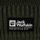 Czapka zimowa Jack Wolfskin Playn Logo Beanie island moss 4