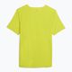 Koszulka do biegania męska PUMA Run Ultraspun green 6