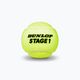 Piłki tenisowe dziecięce Dunlop Stage 1 3 szt. zielone 601338 3