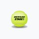 Piłki tenisowe dziecięce Dunlop Stage 1 60 szt. zielone 601342 2